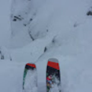 Meet your Posher, Steven